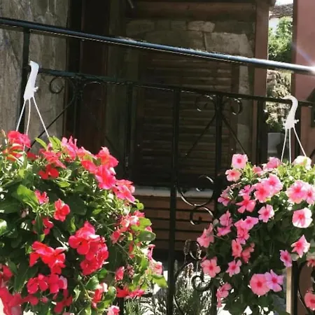 Athina's 아파트 파나이아